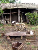 Barbeque