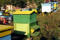 Beehives