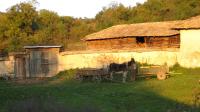 Country Life