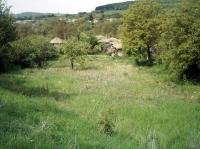 The Site