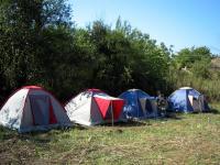 Tents