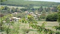 The Village