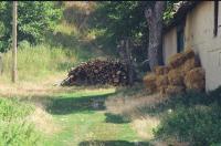a wood pile