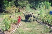 the wheelbarrow half way up the path