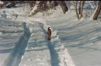 tino in the snow jan 08
