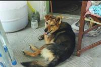 tino sept 07