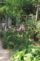 garden path