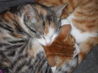 dscf8041.JPG