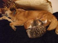 dscf8133.JPG