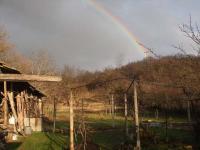 a rainbow -Jan 28th 