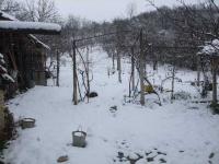 winter has come back Jan 31st