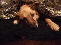 jess-dec-2008.jpg