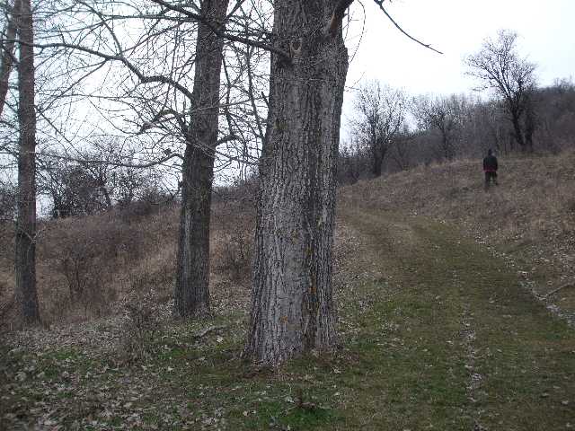 018.JPG 018.JPG