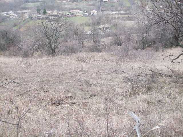 021.JPG 021.JPG