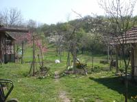 april-16th-09.JPG