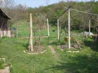 april-20th-09.JPG