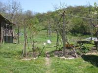 april-22nd-09.JPG