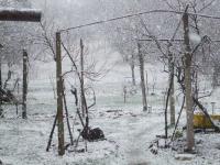 march-18th-230pm.jpg