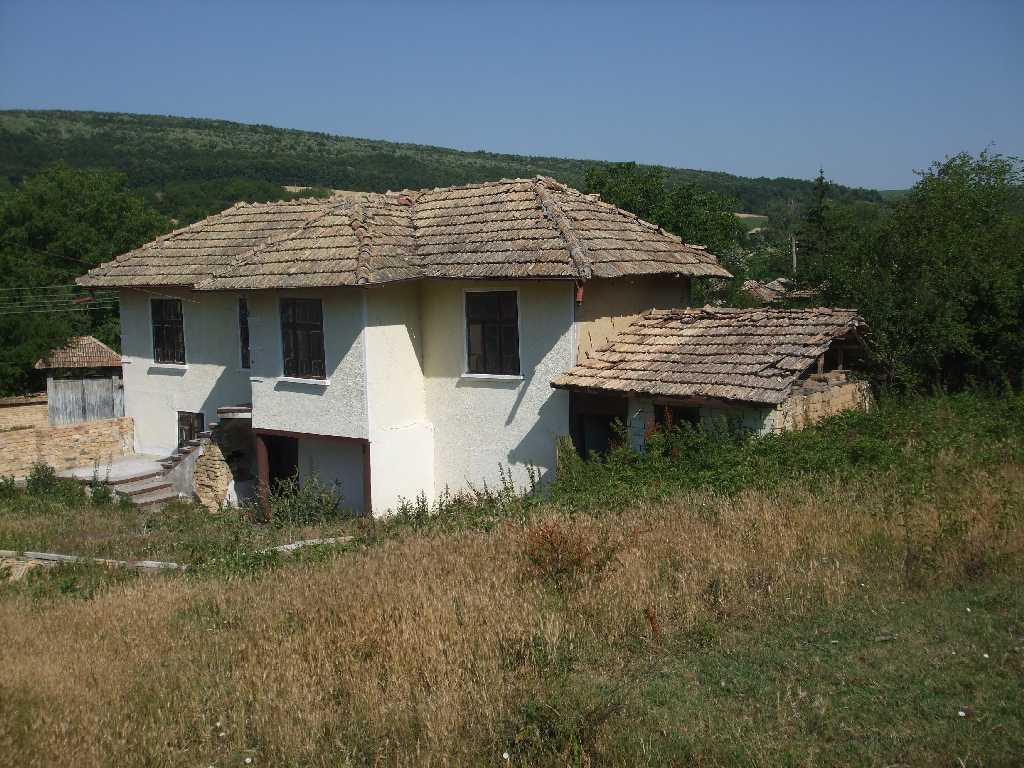 015.jpg 015.jpg
