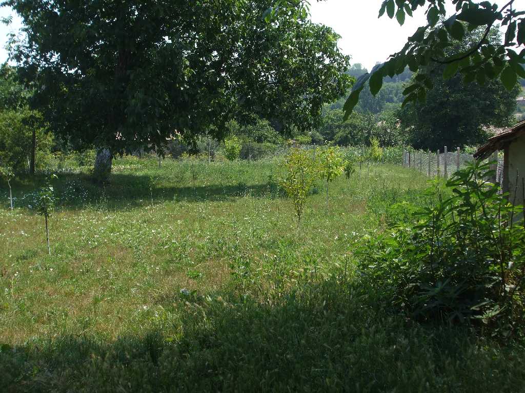 035.JPG 035.JPG