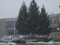 the square Jan 09