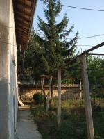 dscf5118.jpg