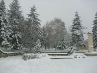 winter-2010.JPG