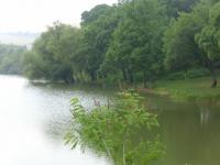 dsci1083.JPG