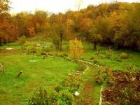 autumn-up-the-field.jpg