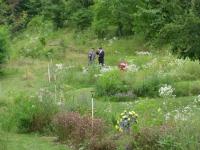 people-up-the-field.jpg