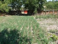dscf5167.JPG
