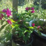 img_20160806_124856